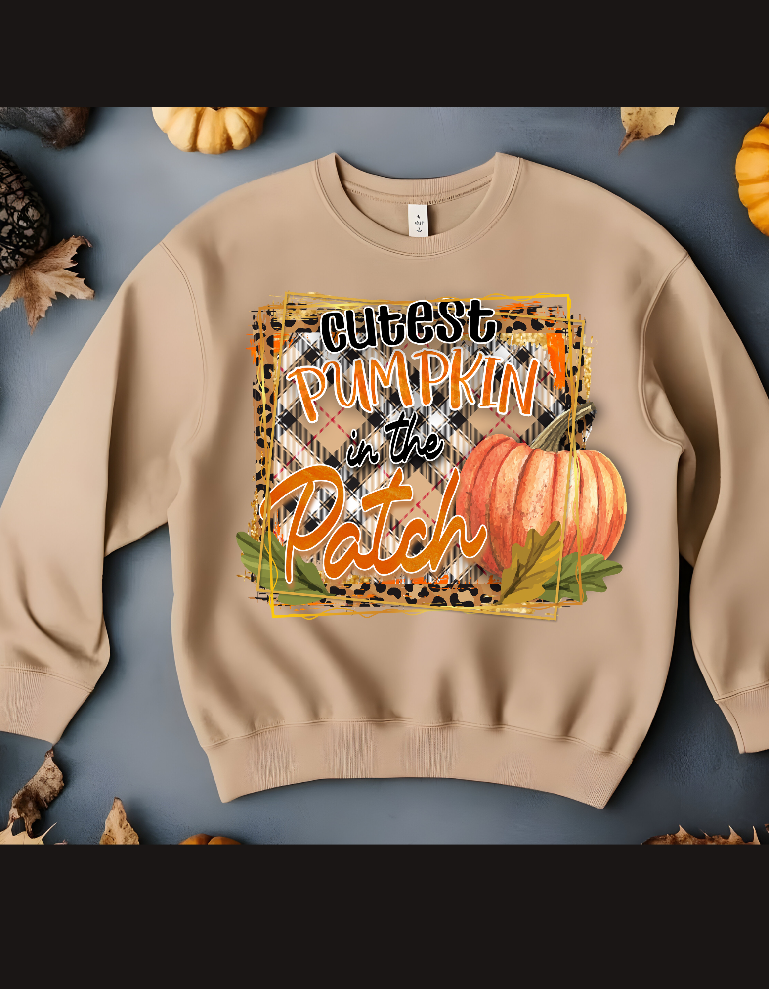 Pumpkin Patch Cozy Fall sweatshirts